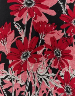Echarpe imprimé à fleurs ROUGE Femme
